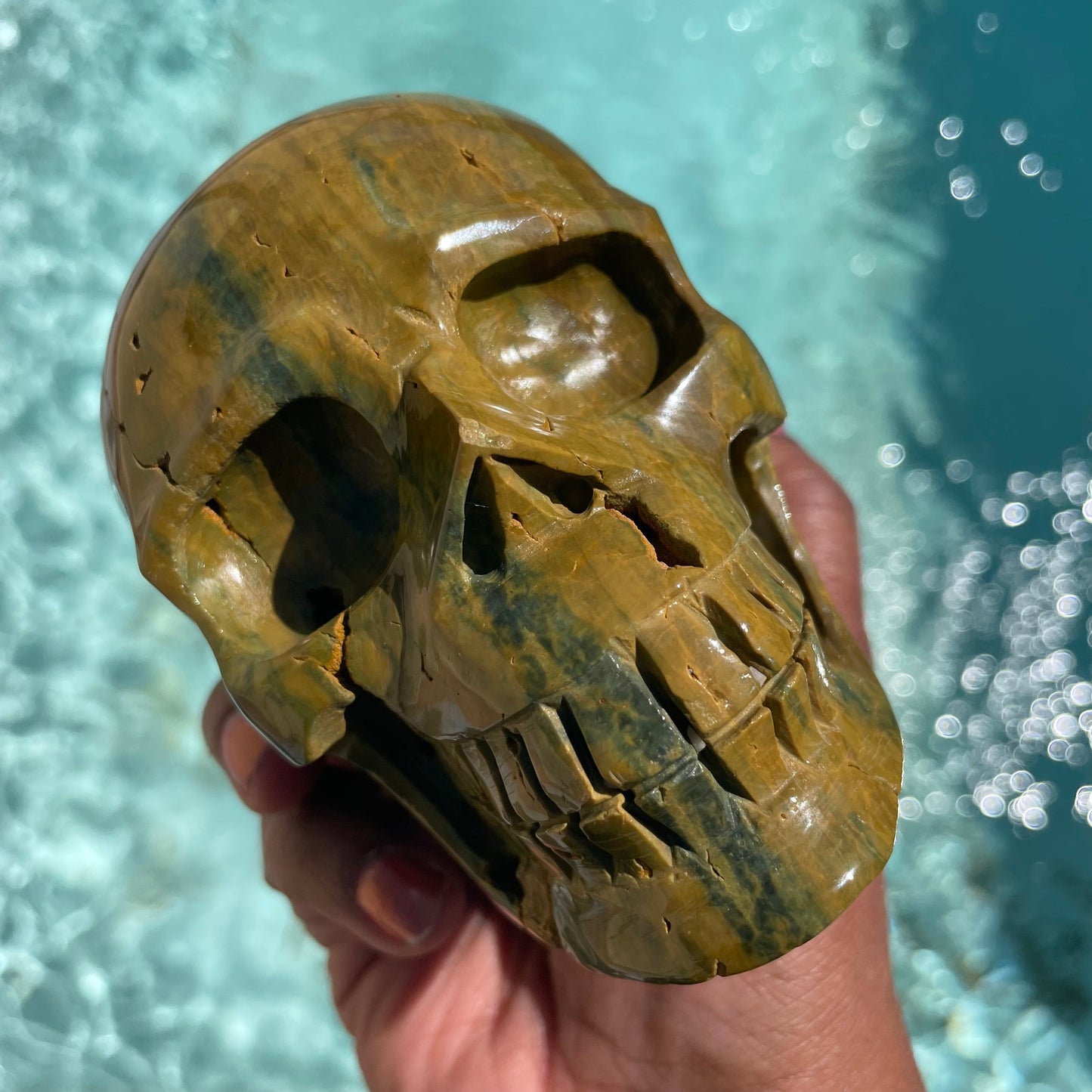 Olive Green Striped Ocean Jasper Skull