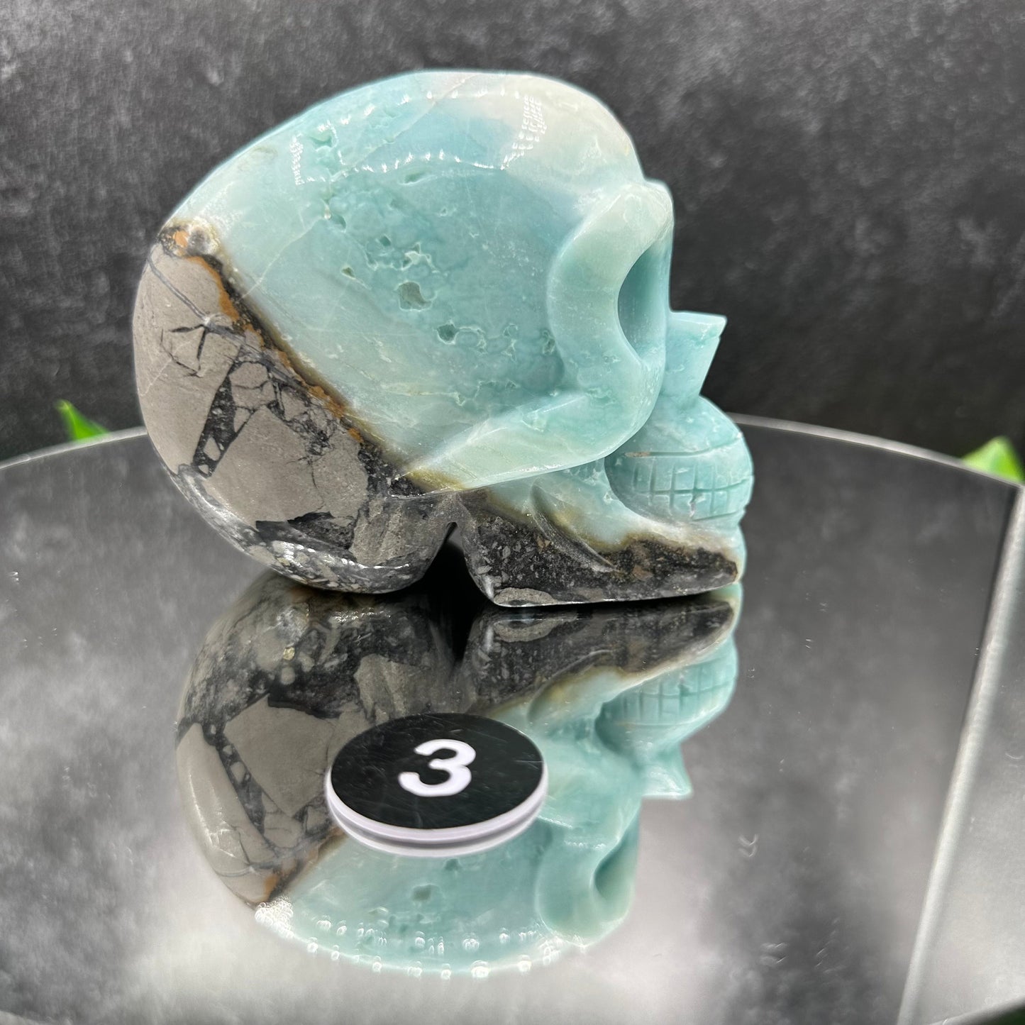 Caribbean Calcite Medium Skull