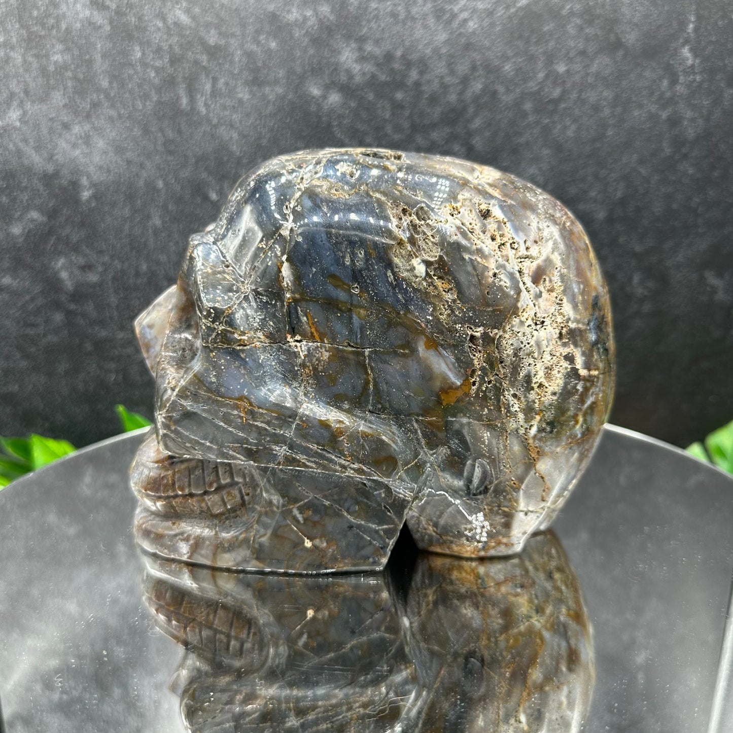 XL Moss Agate Skull