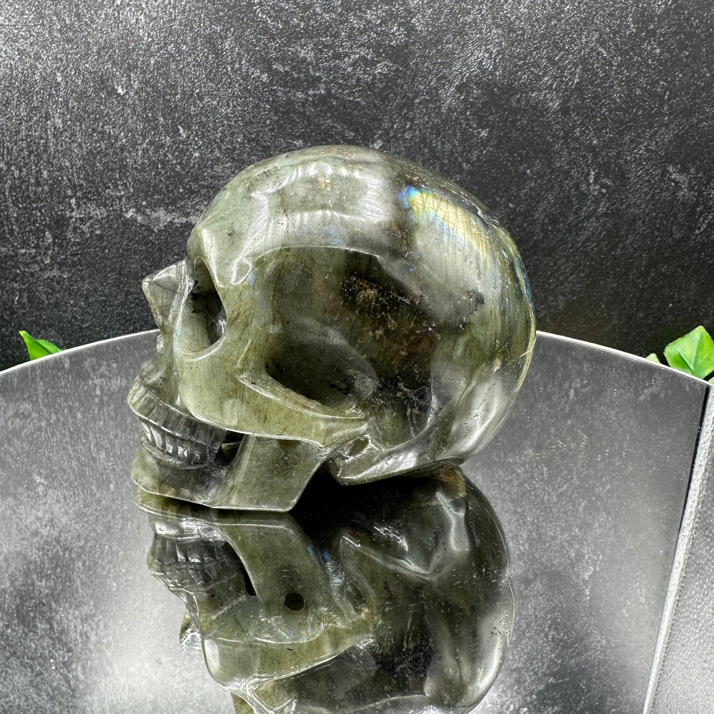 Medium Labradorite Skull