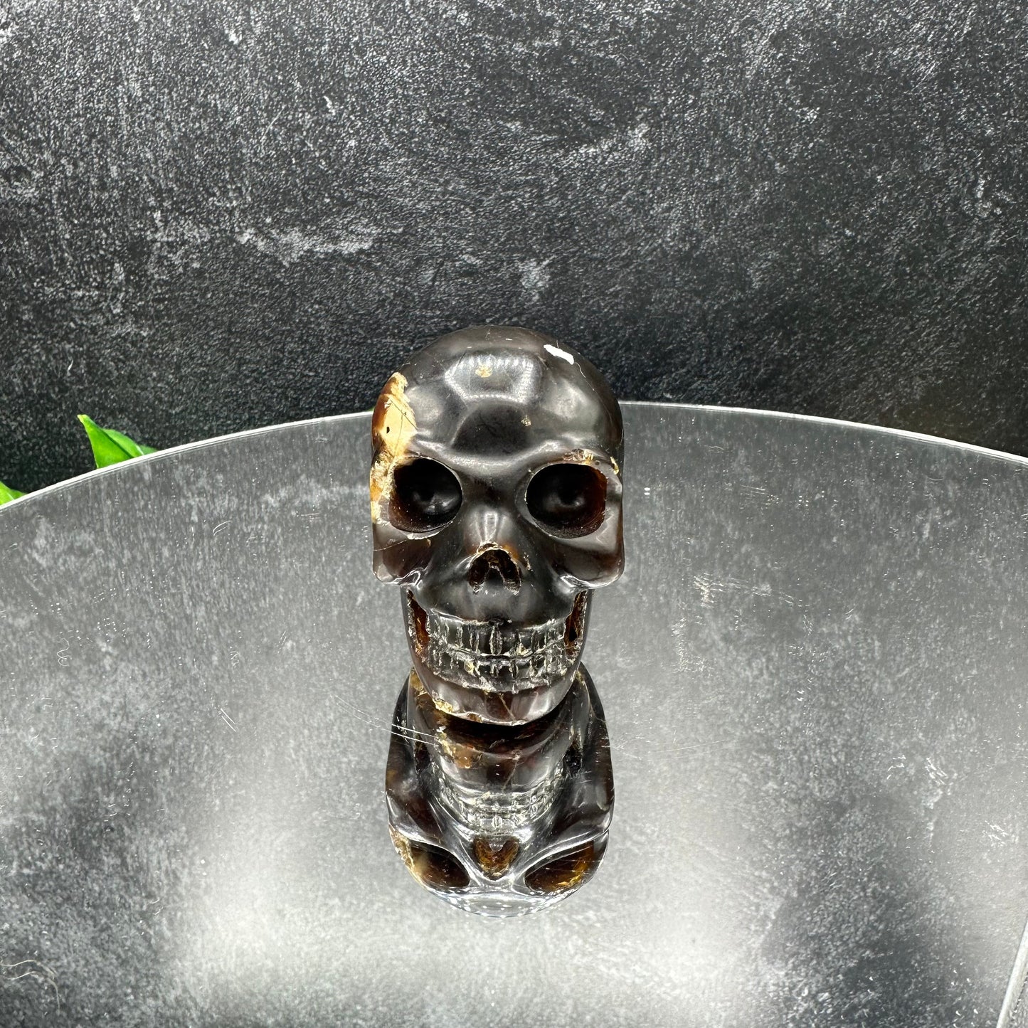 Small Sumatran Amber Skull