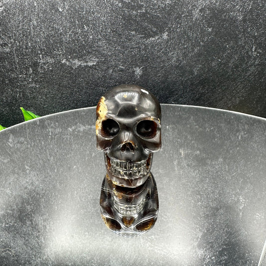 Small Sumatran Amber Skull