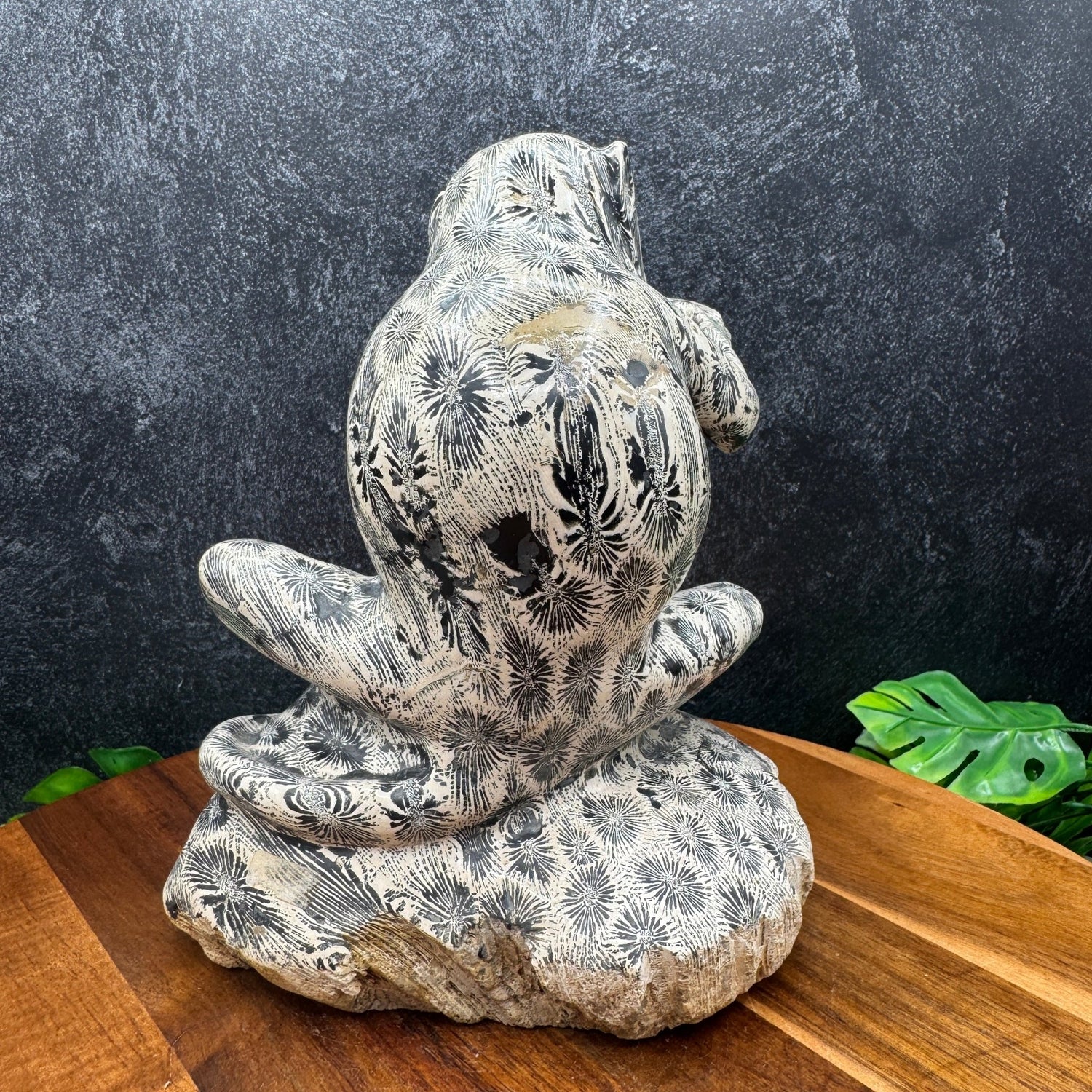 Indonesian Fossil Coral Monkey Carving - Sage & Magic