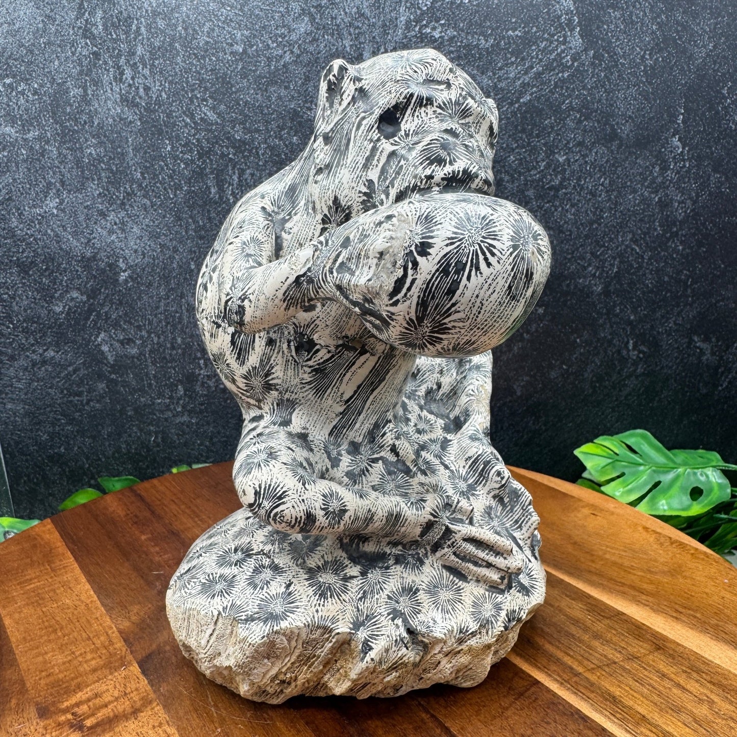 Indonesian Fossil Coral Monkey Carving - Sage & Magic