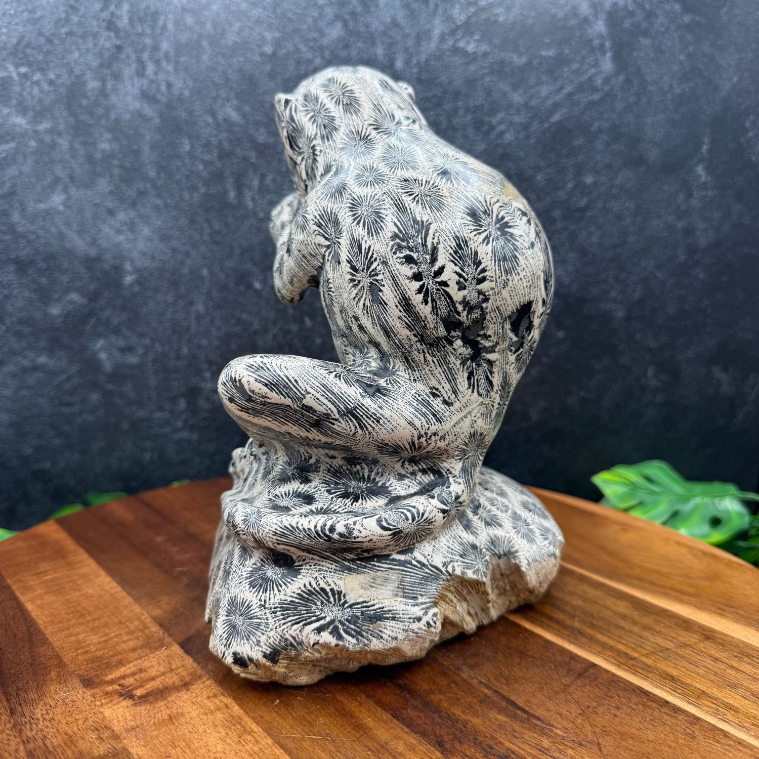 Indonesian Fossil Coral Monkey Carving - Sage & Magic