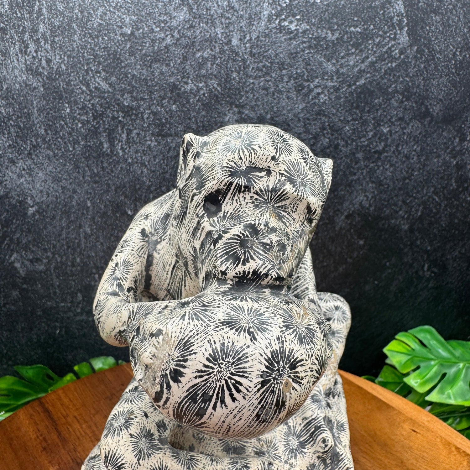 Indonesian Fossil Coral Monkey Carving - Sage & Magic