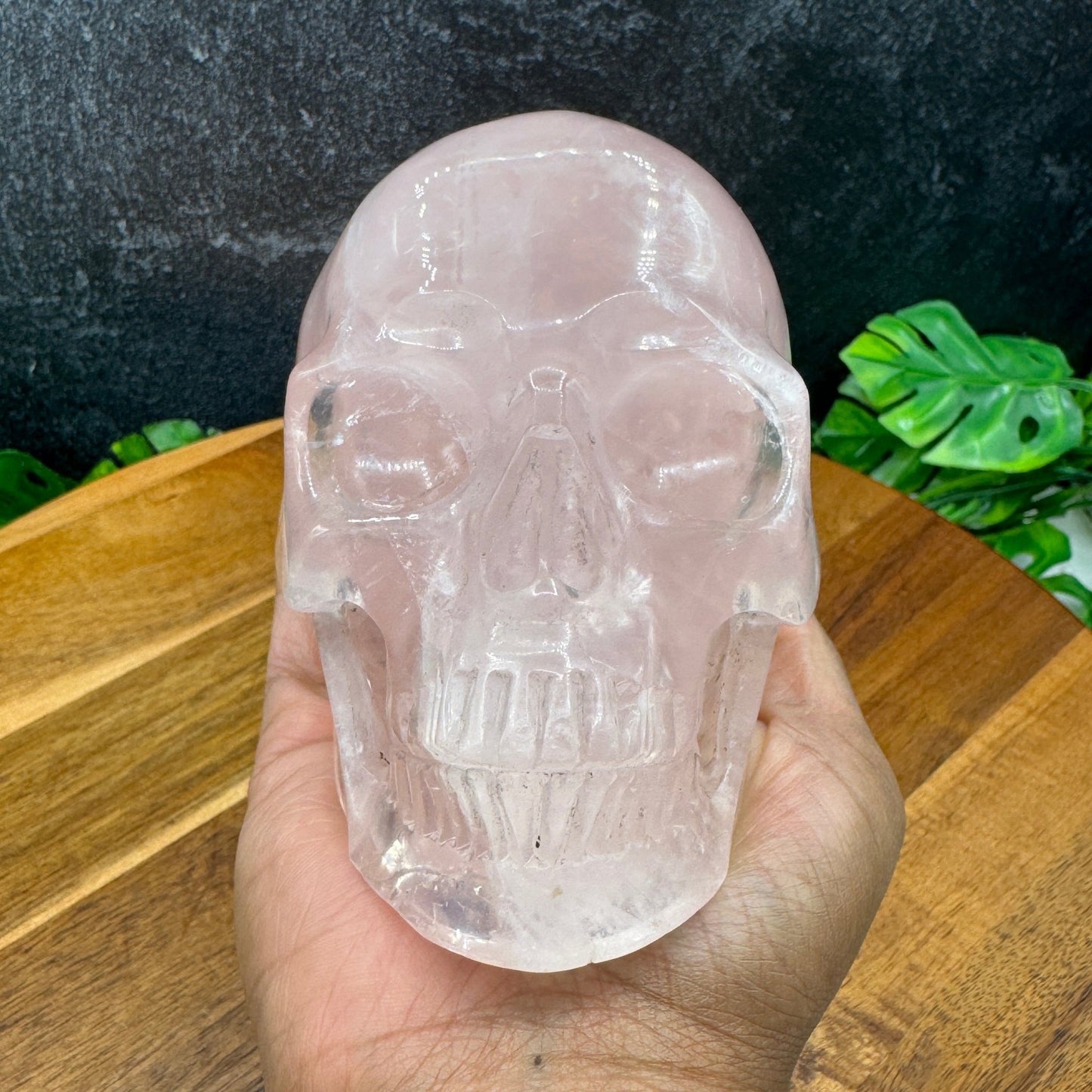 Jelly Rose Quartz Skull in Skull - Sage & Magic