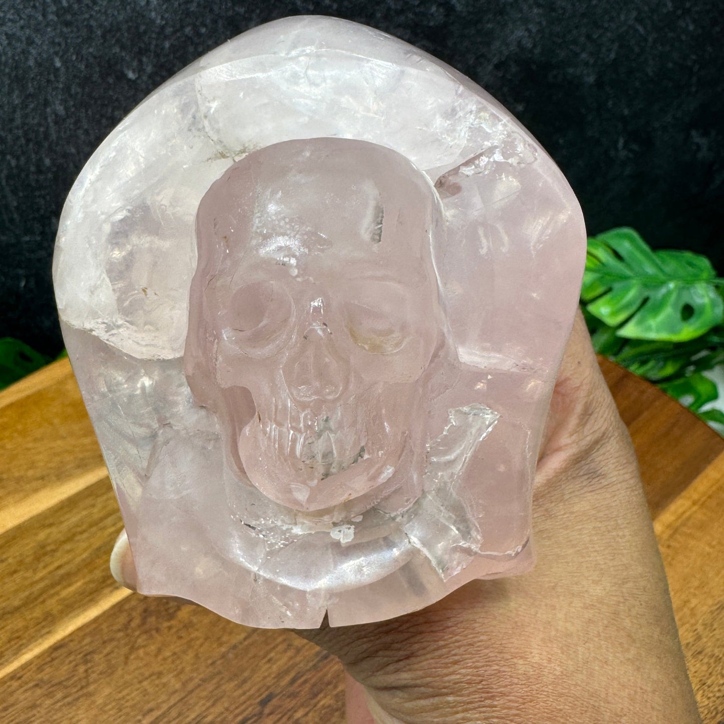 Jelly Rose Quartz Skull in Skull - Sage & Magic