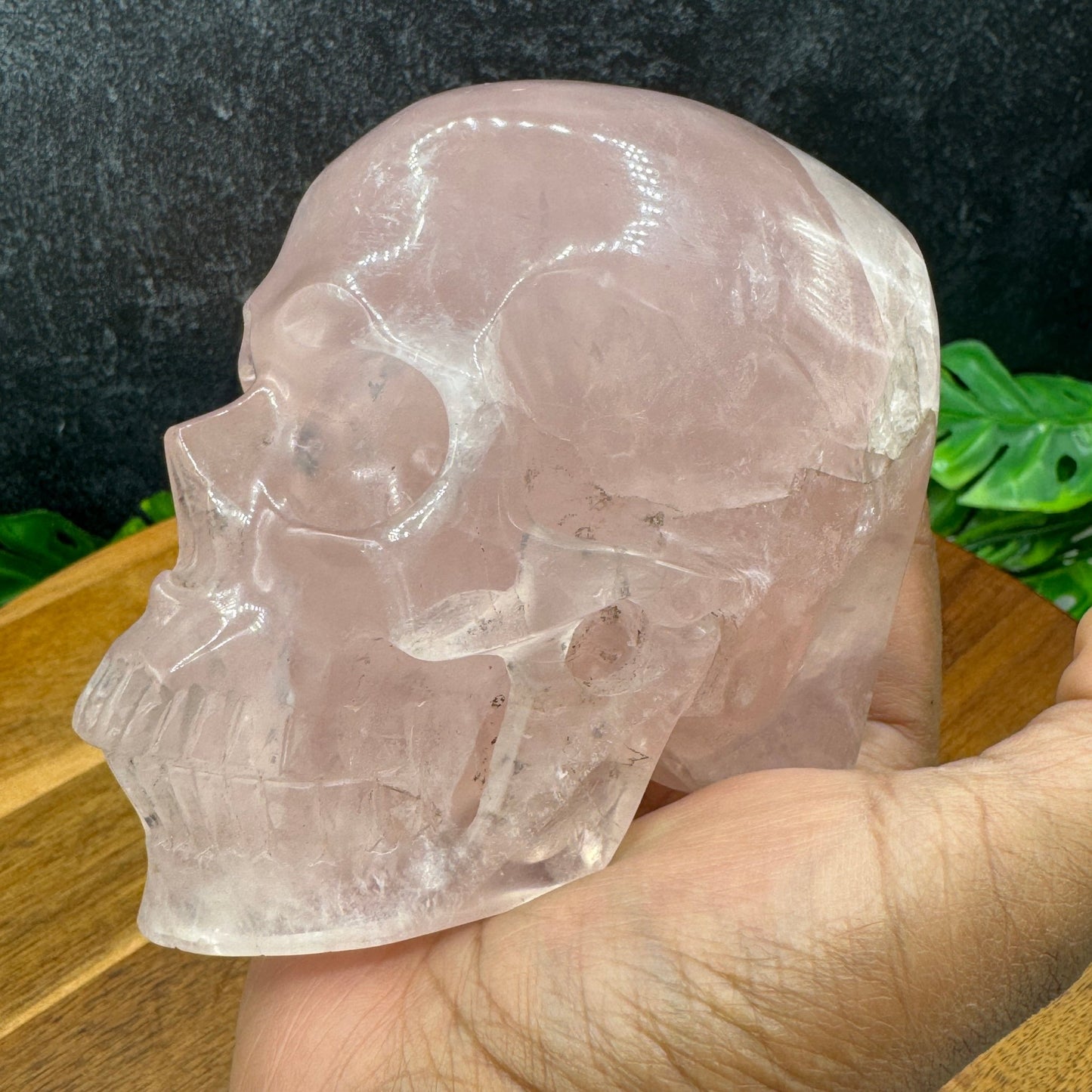 Jelly Rose Quartz Skull in Skull - Sage & Magic