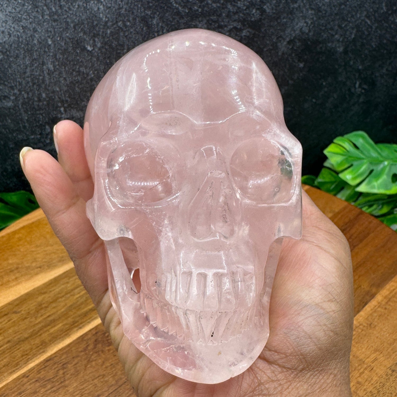 Jelly Rose Quartz Skull in Skull - Sage & Magic