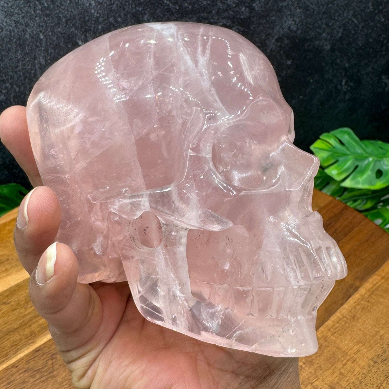 Jelly Rose Quartz Skull in Skull - Sage & Magic