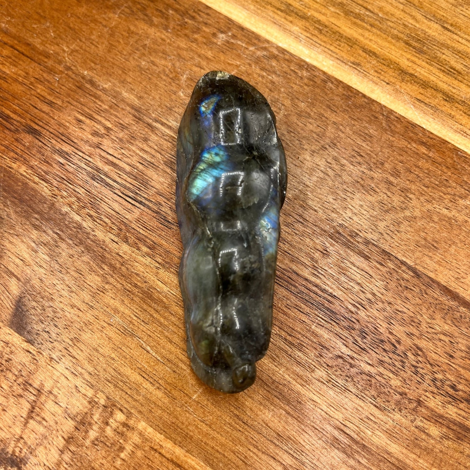 Labradorite Bat on Pea Pod Carving - Sage & Magic