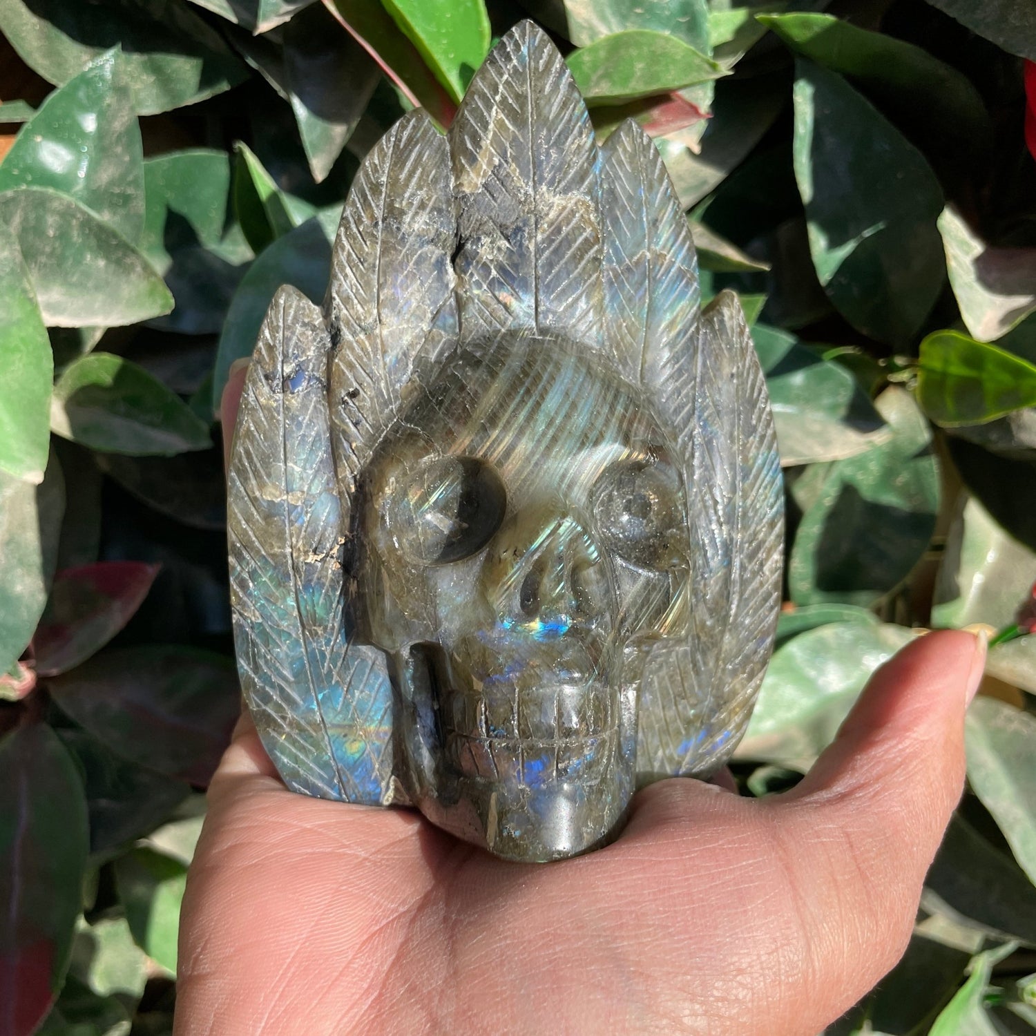 Labradorite Chief Skull - Sage & Magic