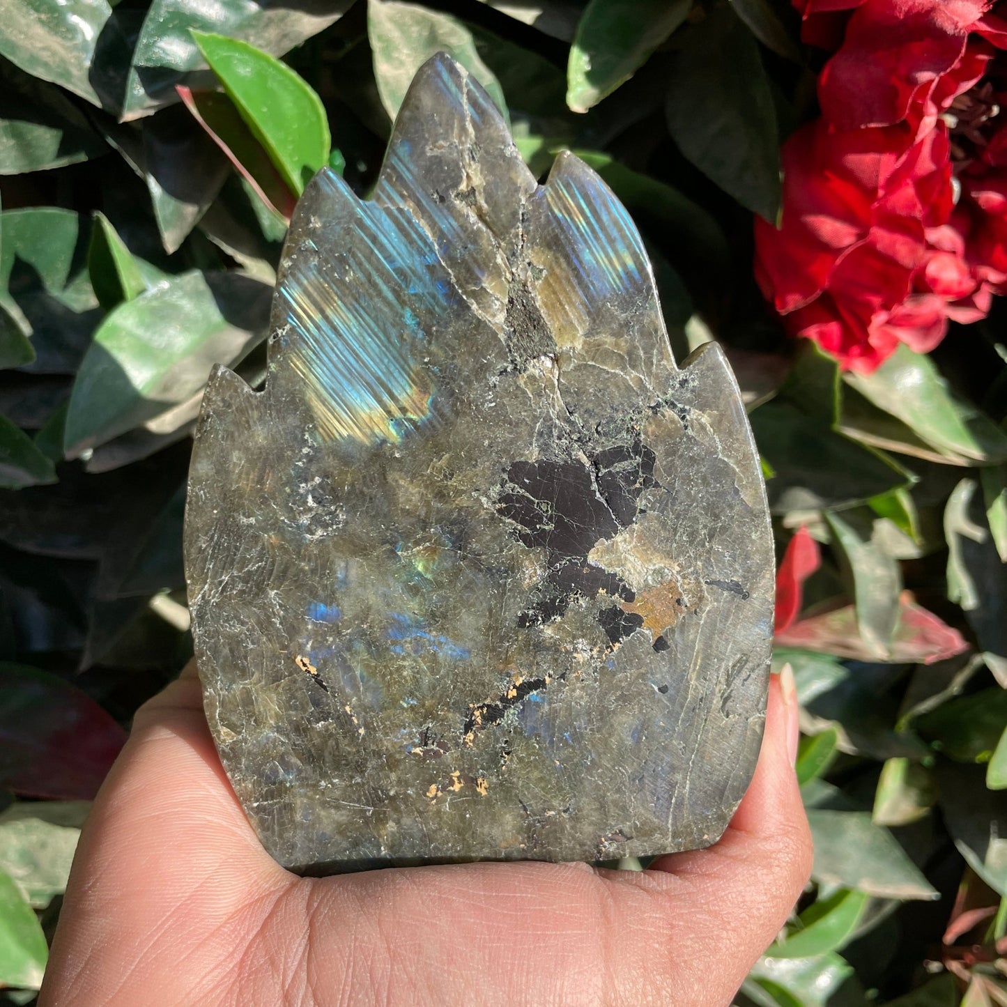 Labradorite Chief Skull - Sage & Magic