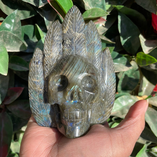 Labradorite Chief Skull - Sage & Magic