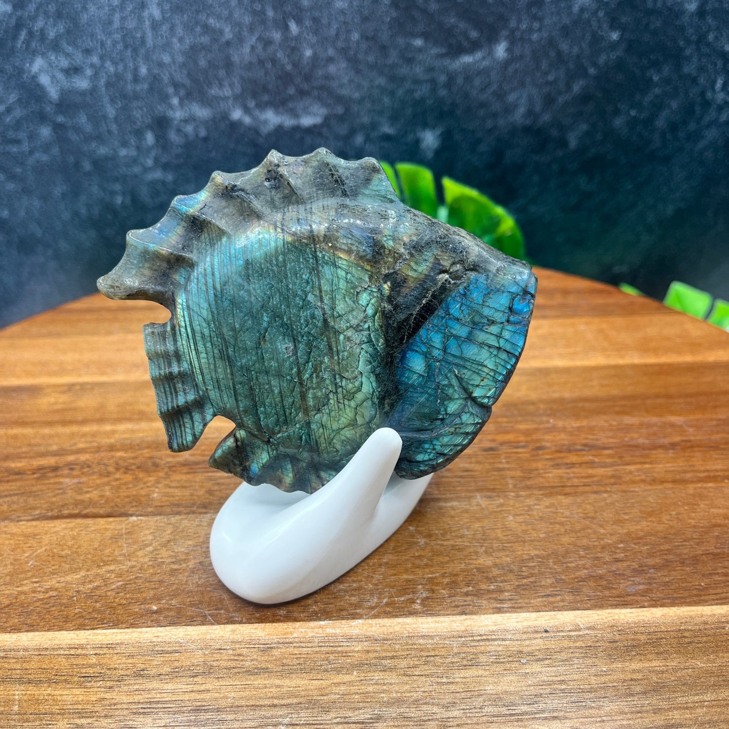 Labradorite Fish - Sage & Magic