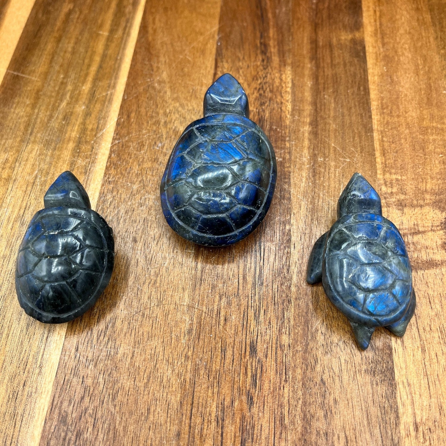 Labradorite Turtle Family (3pc) - Sage & Magic