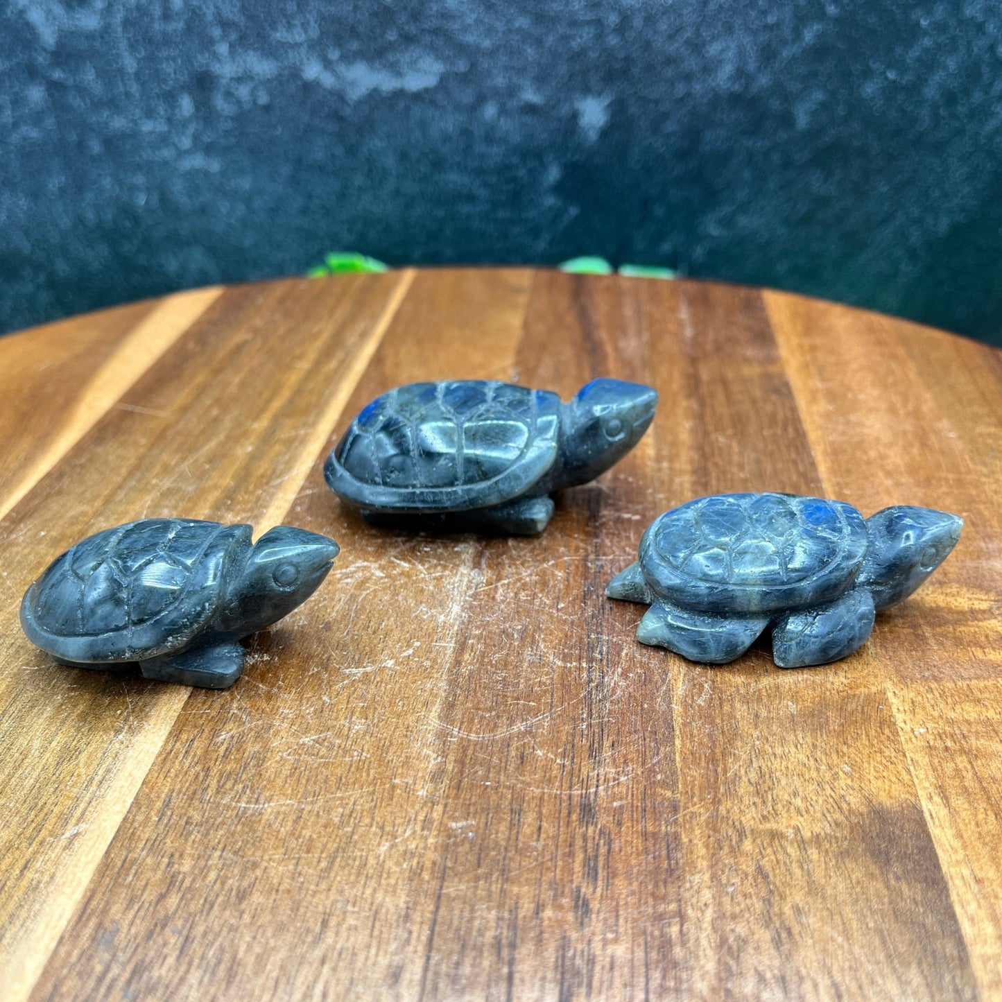 Labradorite Turtle Family (3pc) - Sage & Magic