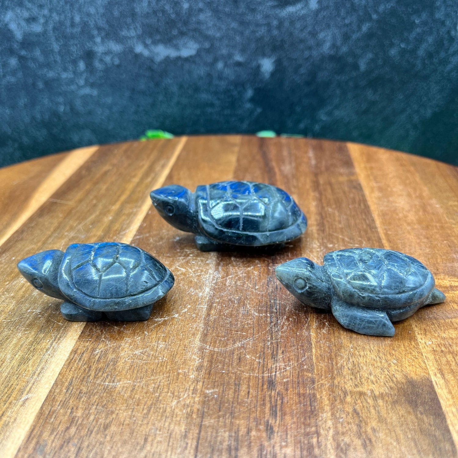 Labradorite Turtle Family (3pc) - Sage & Magic