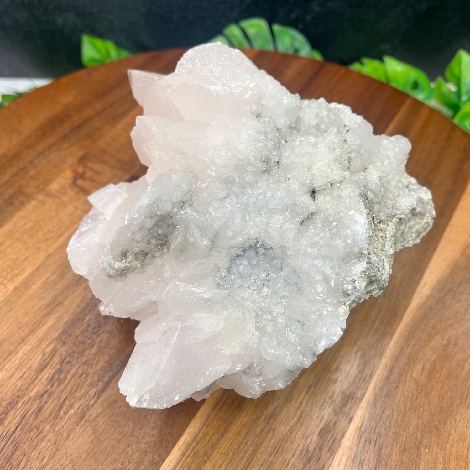 Large Bladed Mangano Calcite - Sage & Magic