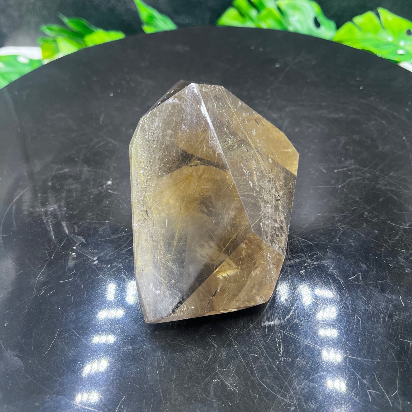 Large Gold Rutile in Quartz Freeform - Sage & Magic