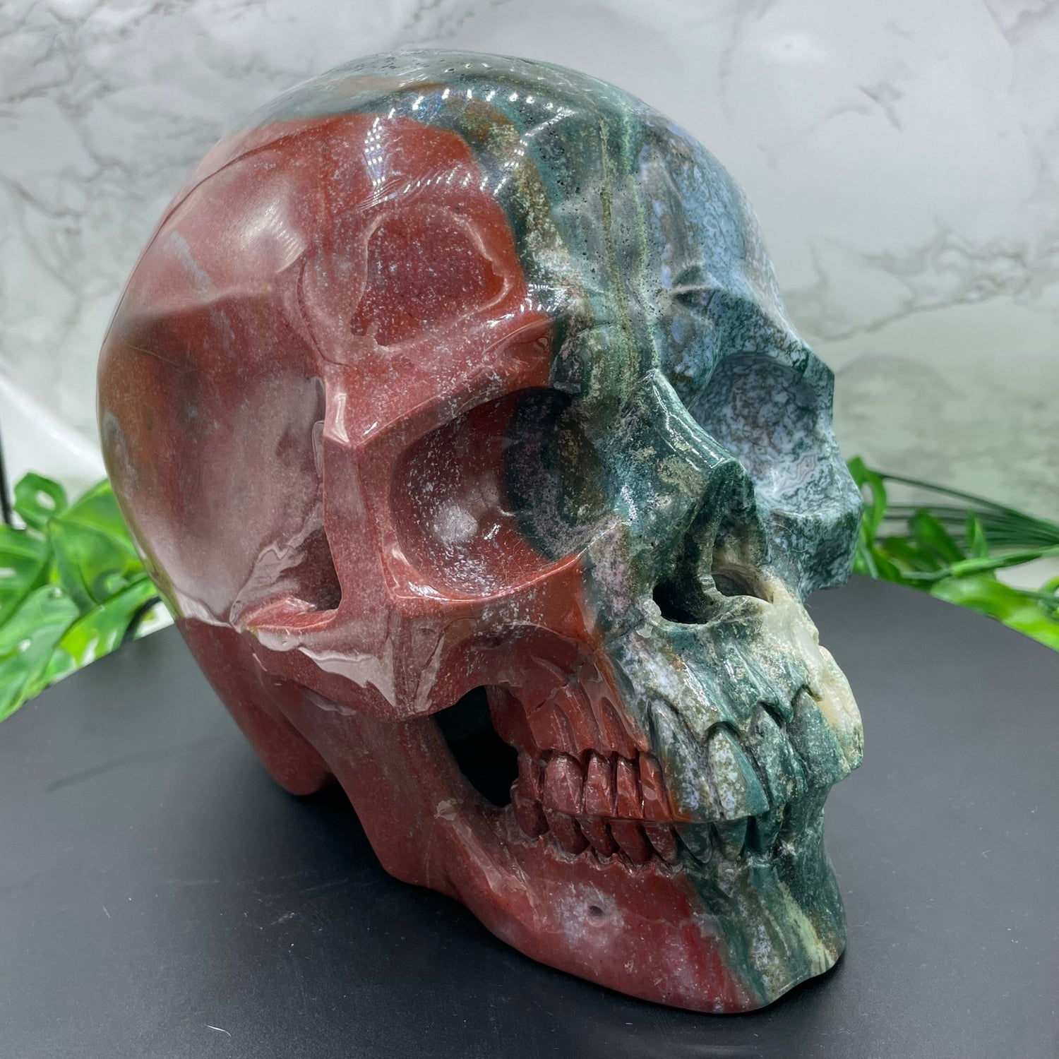 Large Two Tone Ocean Jasper Skull - Sage & Magic