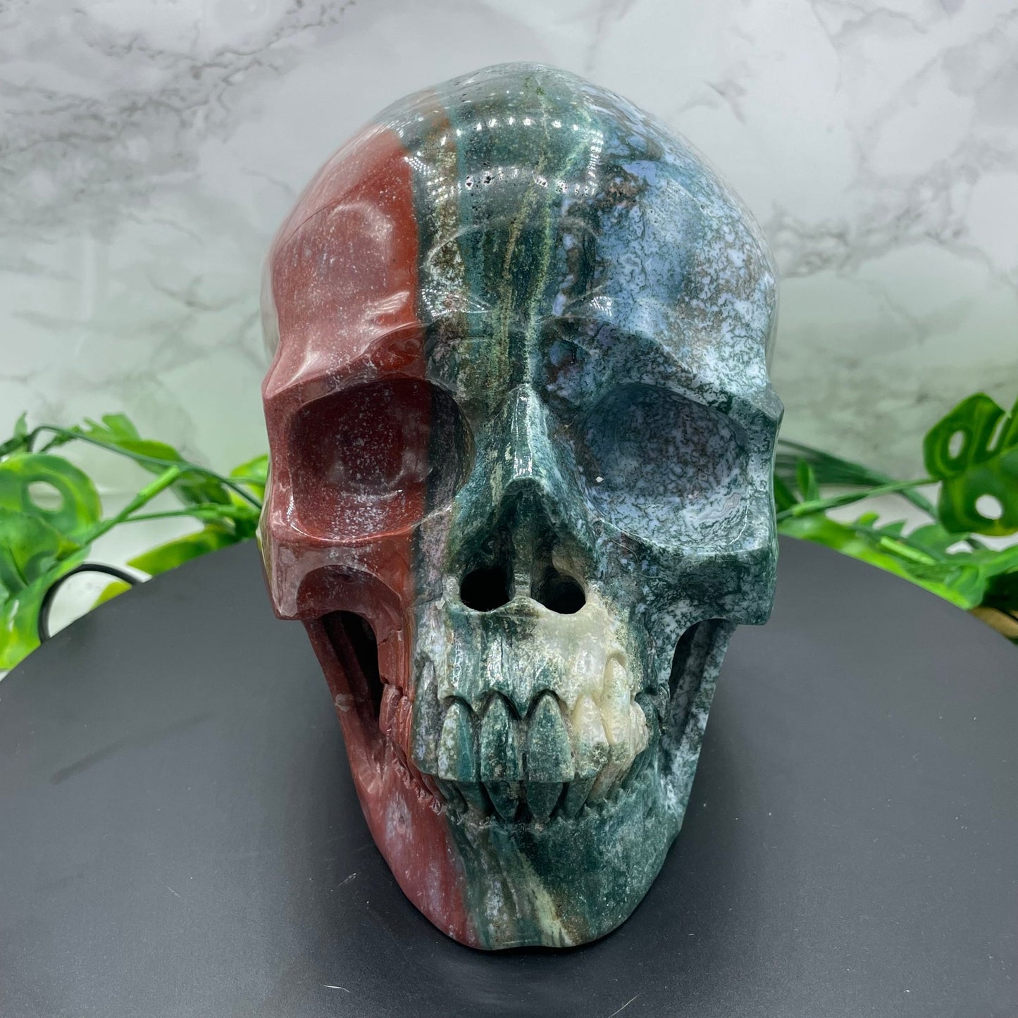 Large Two Tone Ocean Jasper Skull - Sage & Magic