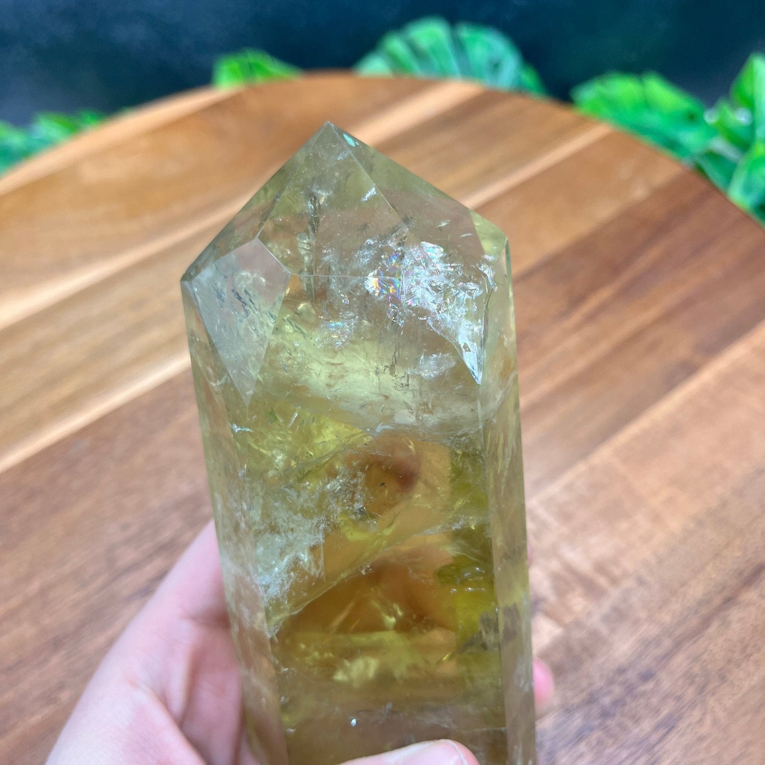 Lemon Quartz Point w Rough Base - Sage & Magic