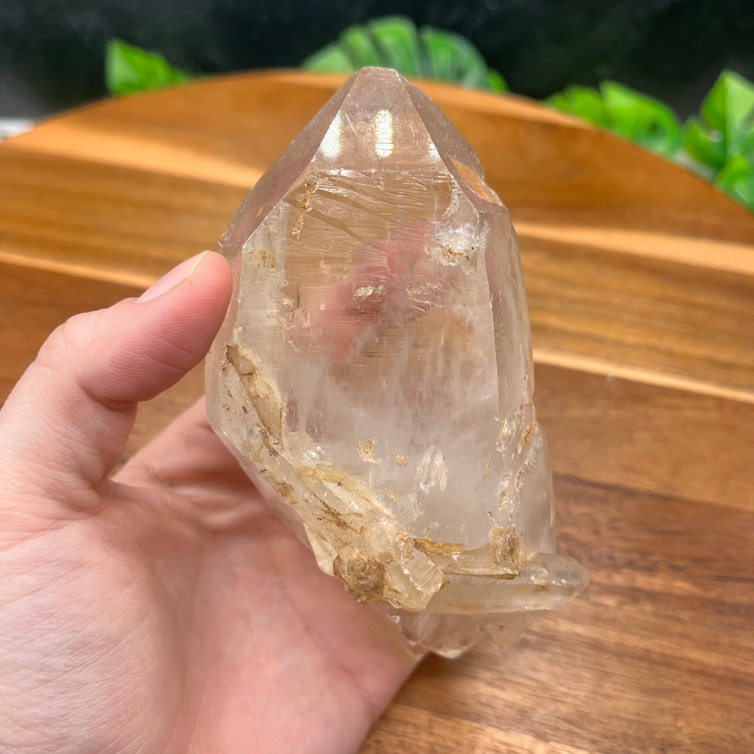 Lemurian Quartz Point - Sage & Magic