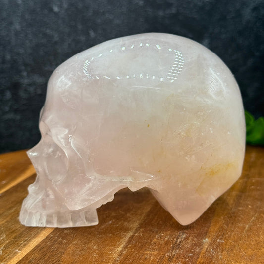 Light Rose Quartz Jawless Skull - Sage & Magic