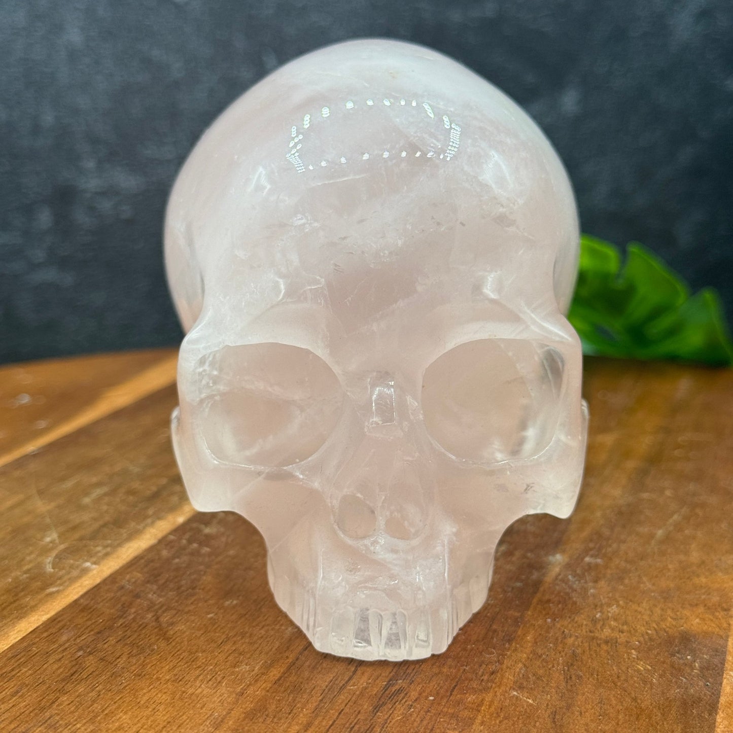 Light Rose Quartz Jawless Skull - Sage & Magic