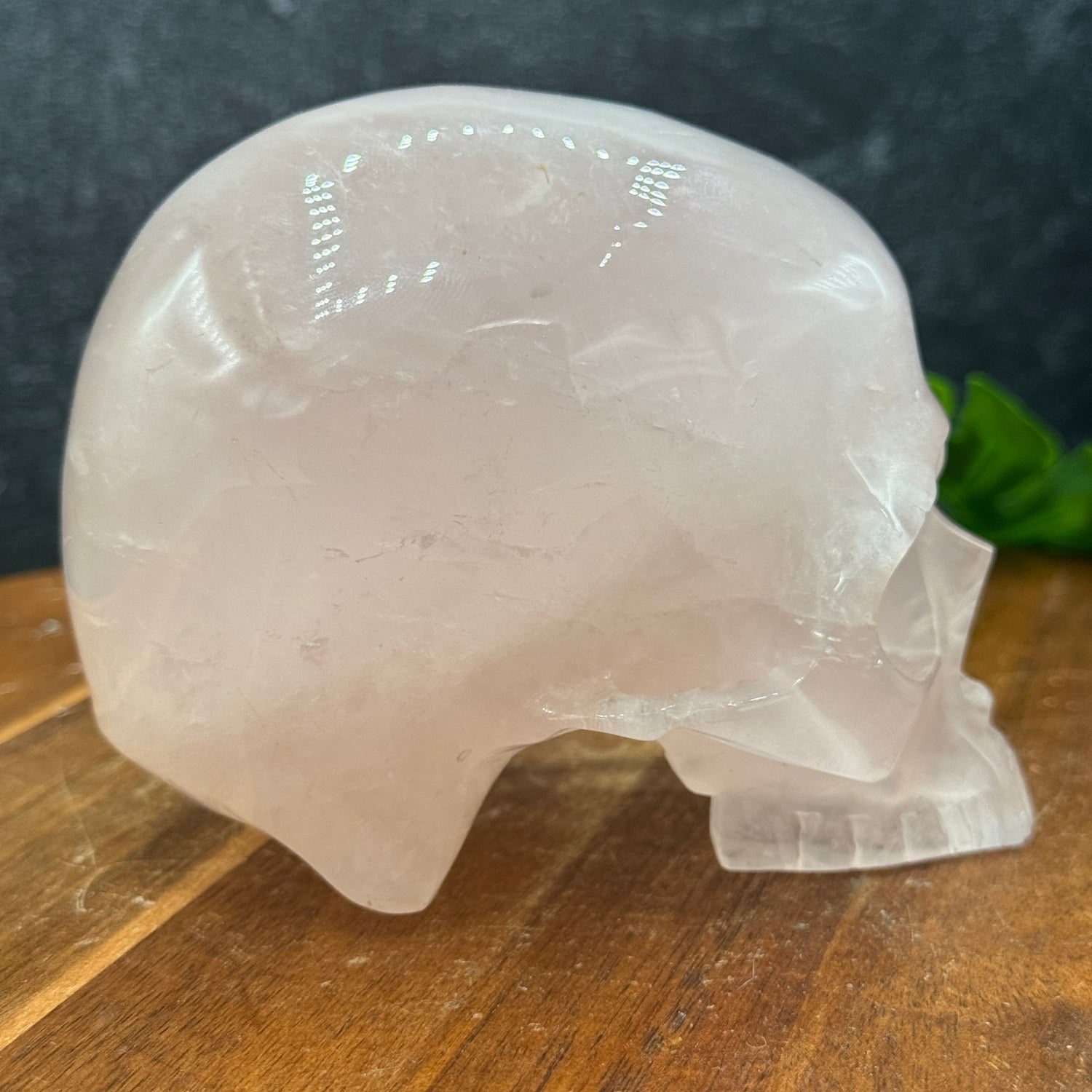 Light Rose Quartz Jawless Skull - Sage & Magic