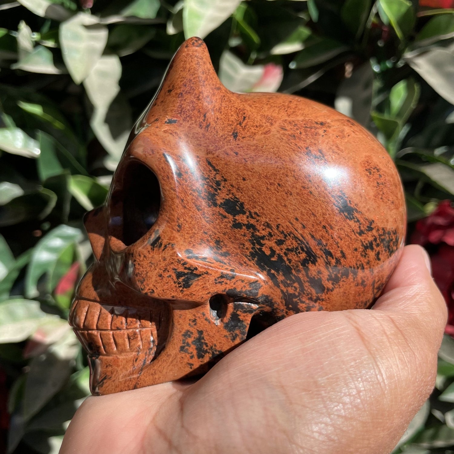 Mahogany Obsidian Demon Skull - Sage & Magic