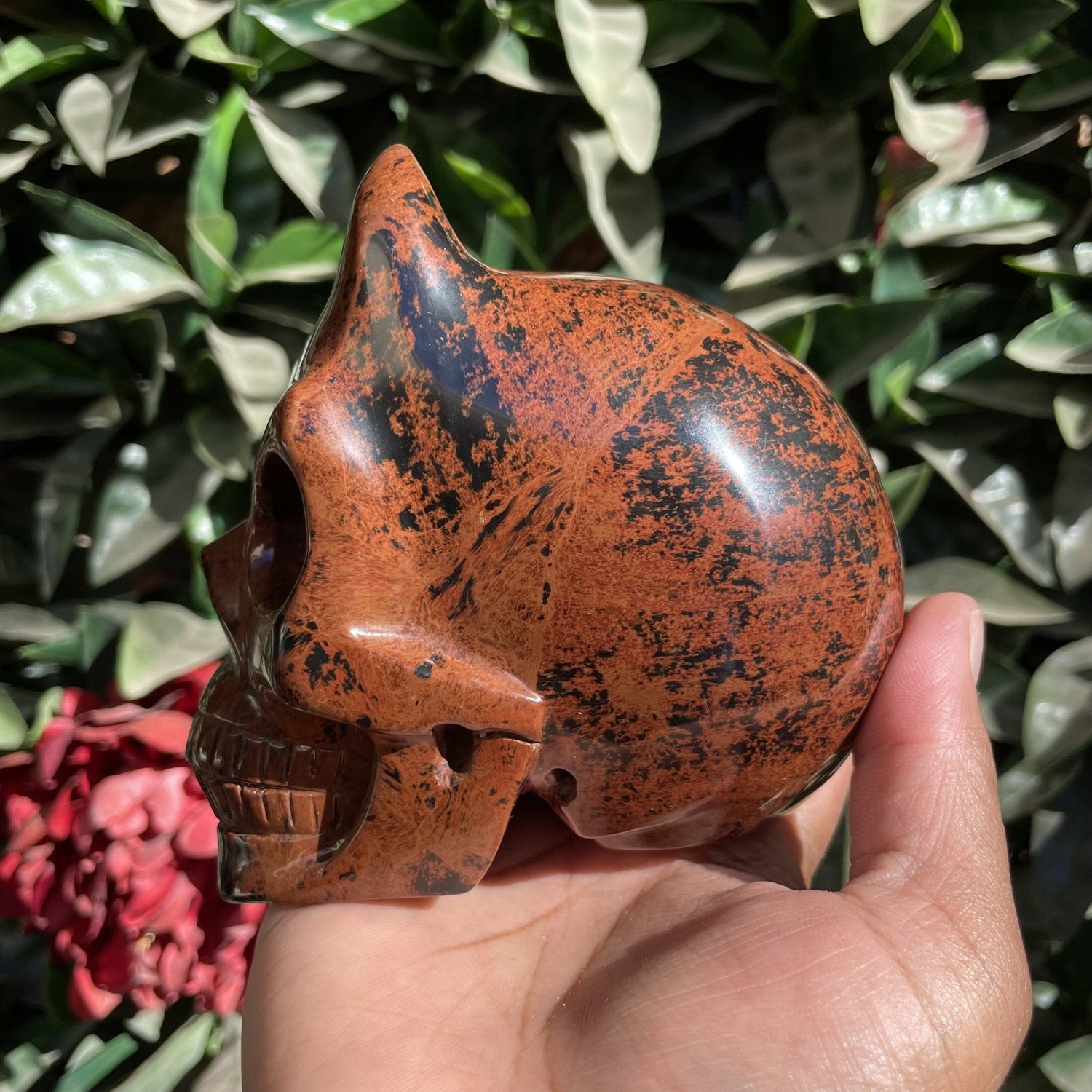 Mahogany Obsidian Demon Skull - Sage & Magic