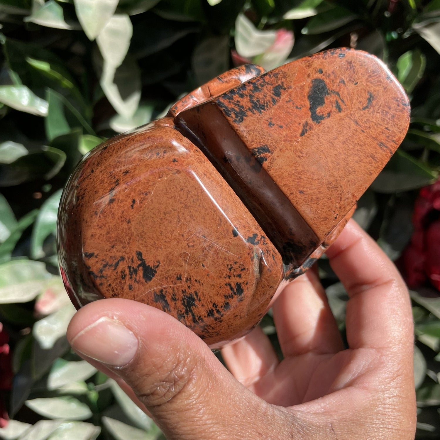 Mahogany Obsidian Demon Skull - Sage & Magic