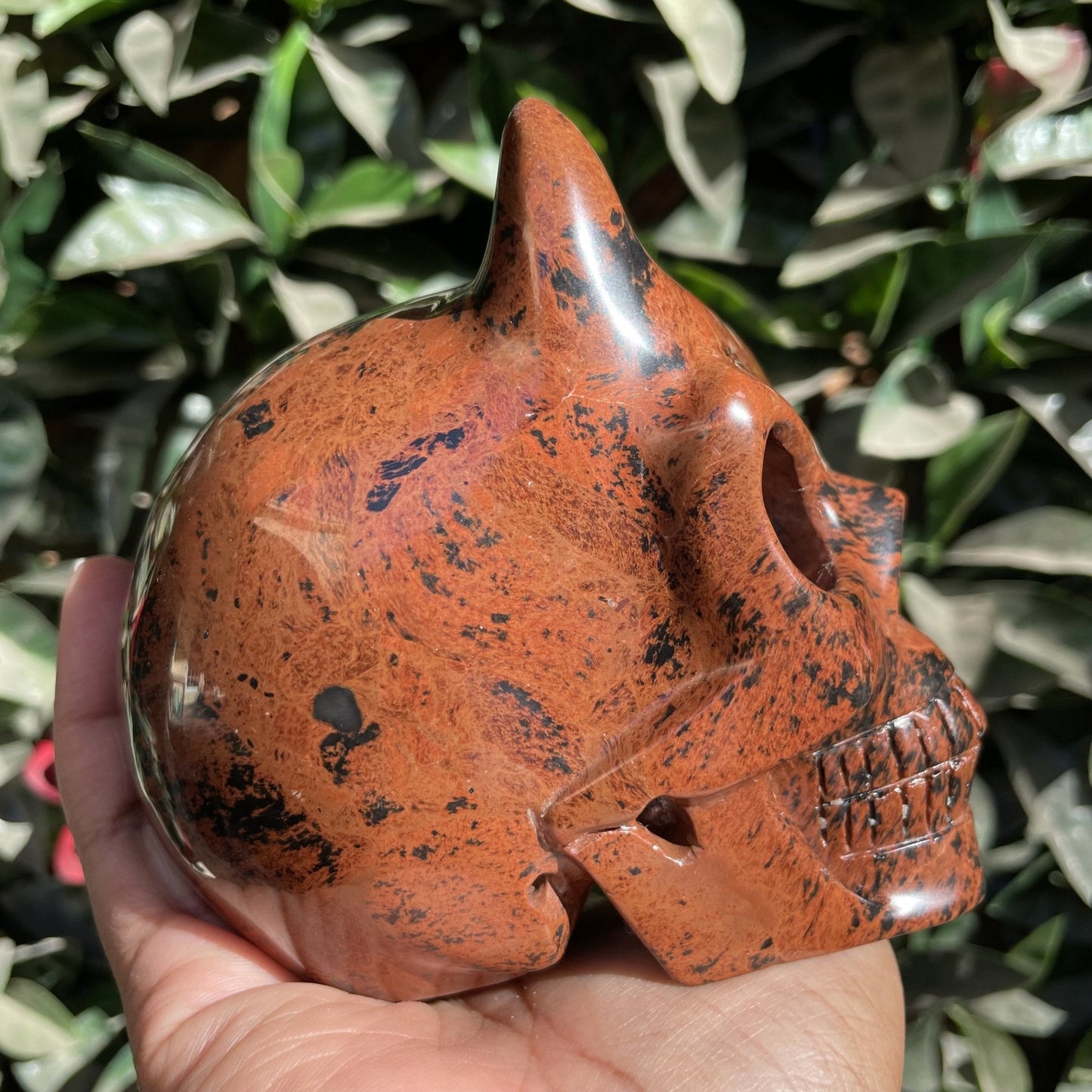 Mahogany Obsidian Demon Skull - Sage & Magic