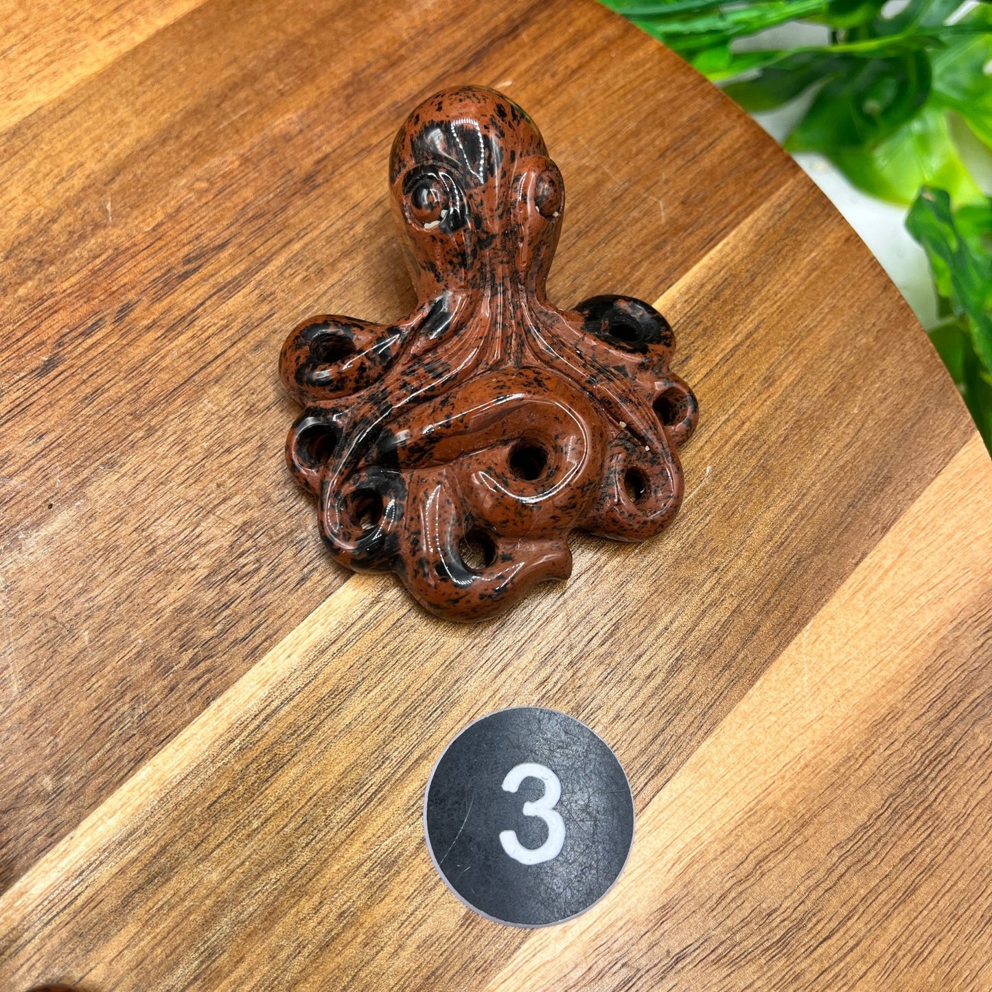 Mahogany Obsidian Octopus - Sage & Magic