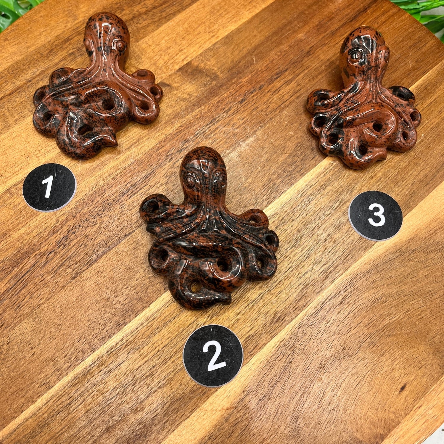 Mahogany Obsidian Octopus - Sage & Magic