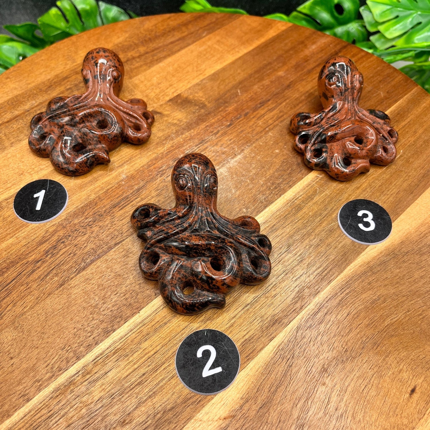 Mahogany Obsidian Octopus - Sage & Magic