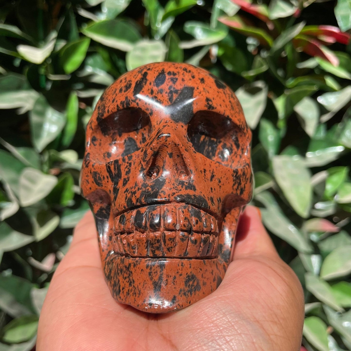 Mahogany Obsidian Skull - Sage & Magic