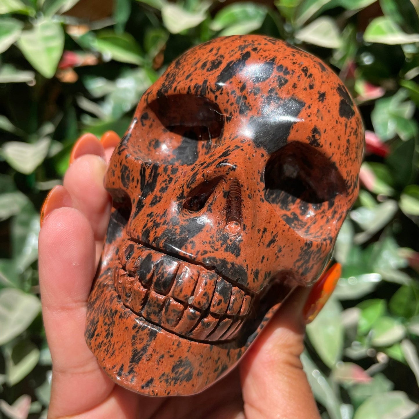 Mahogany Obsidian Skull - Sage & Magic