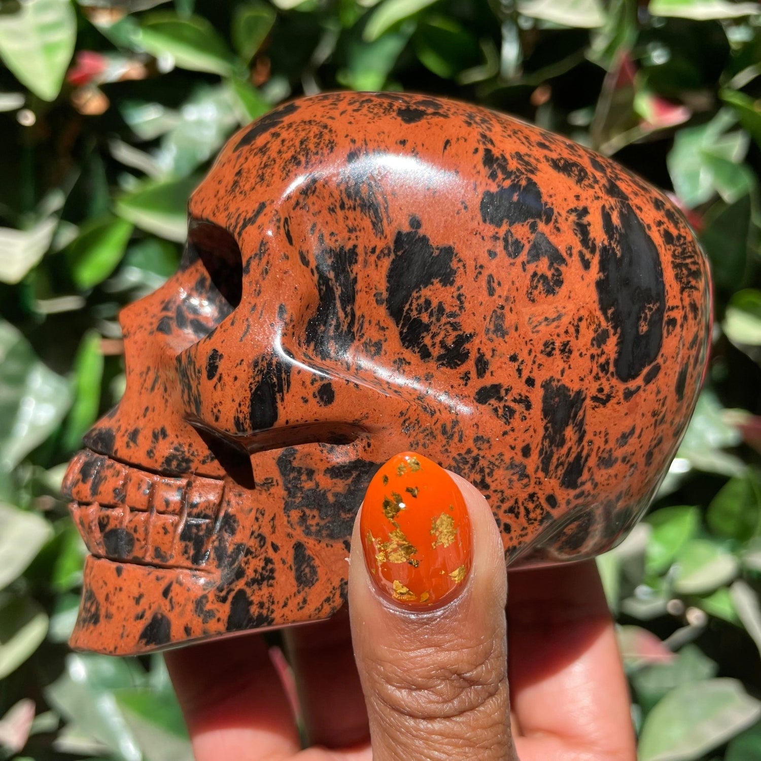 Mahogany Obsidian Skull - Sage & Magic