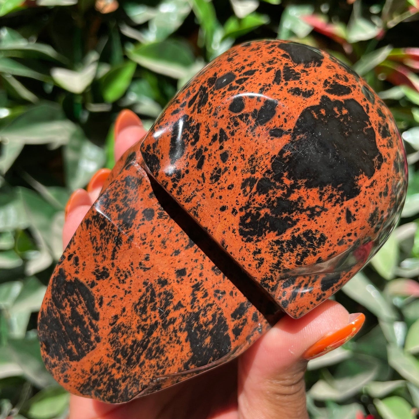 Mahogany Obsidian Skull - Sage & Magic