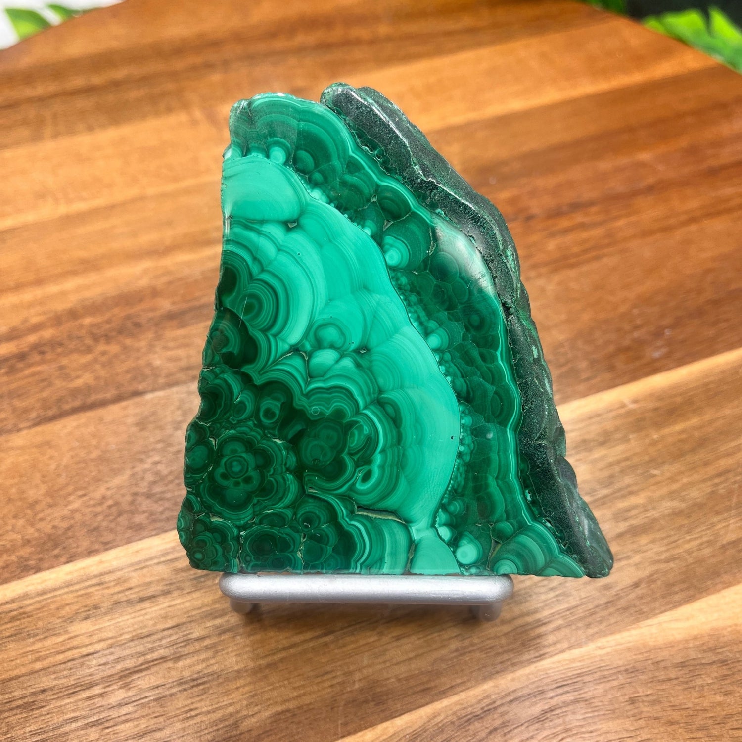 Malachite Slab - Sage & Magic