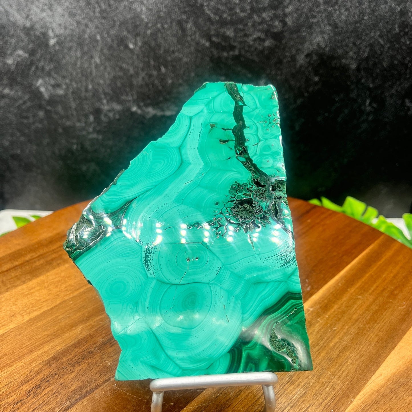 Malachite Slab - Sage & Magic