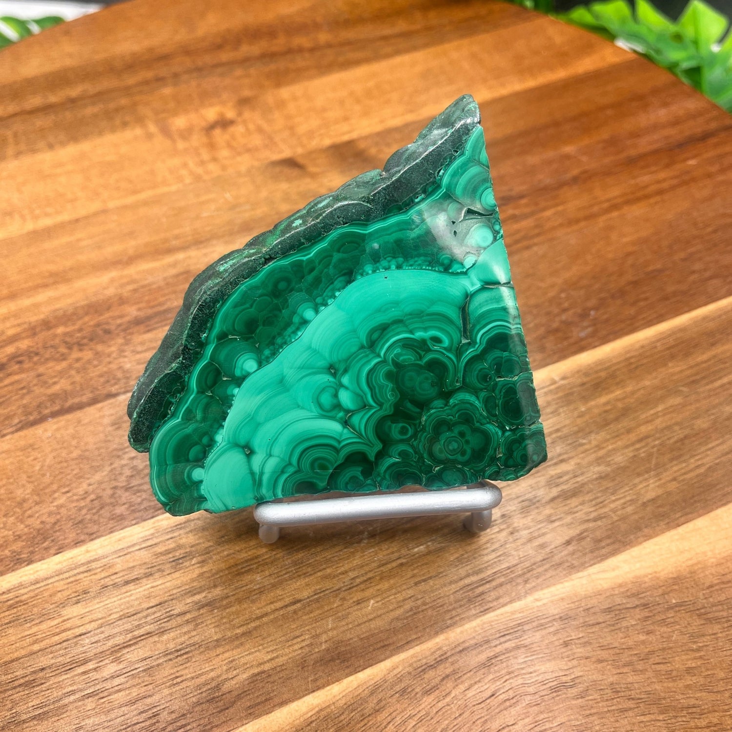 Malachite Slab - Sage & Magic