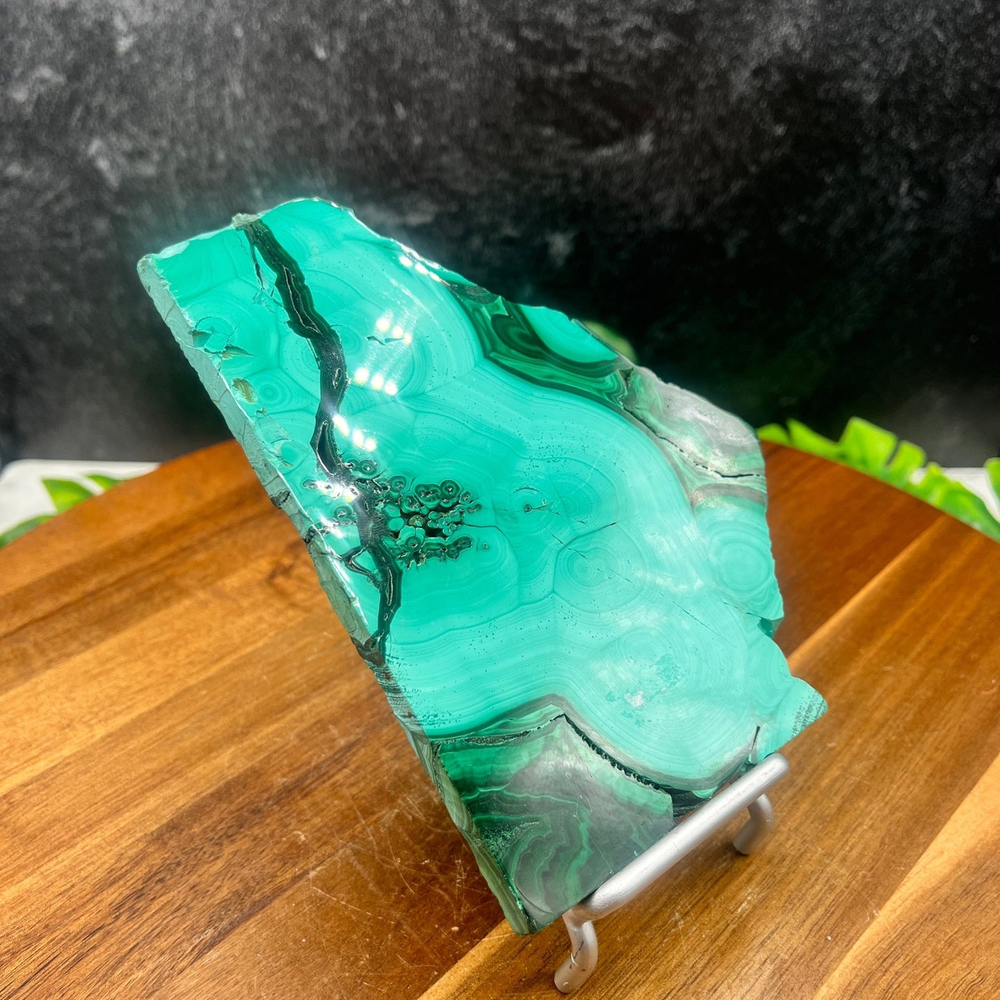 Malachite Slab - Sage & Magic