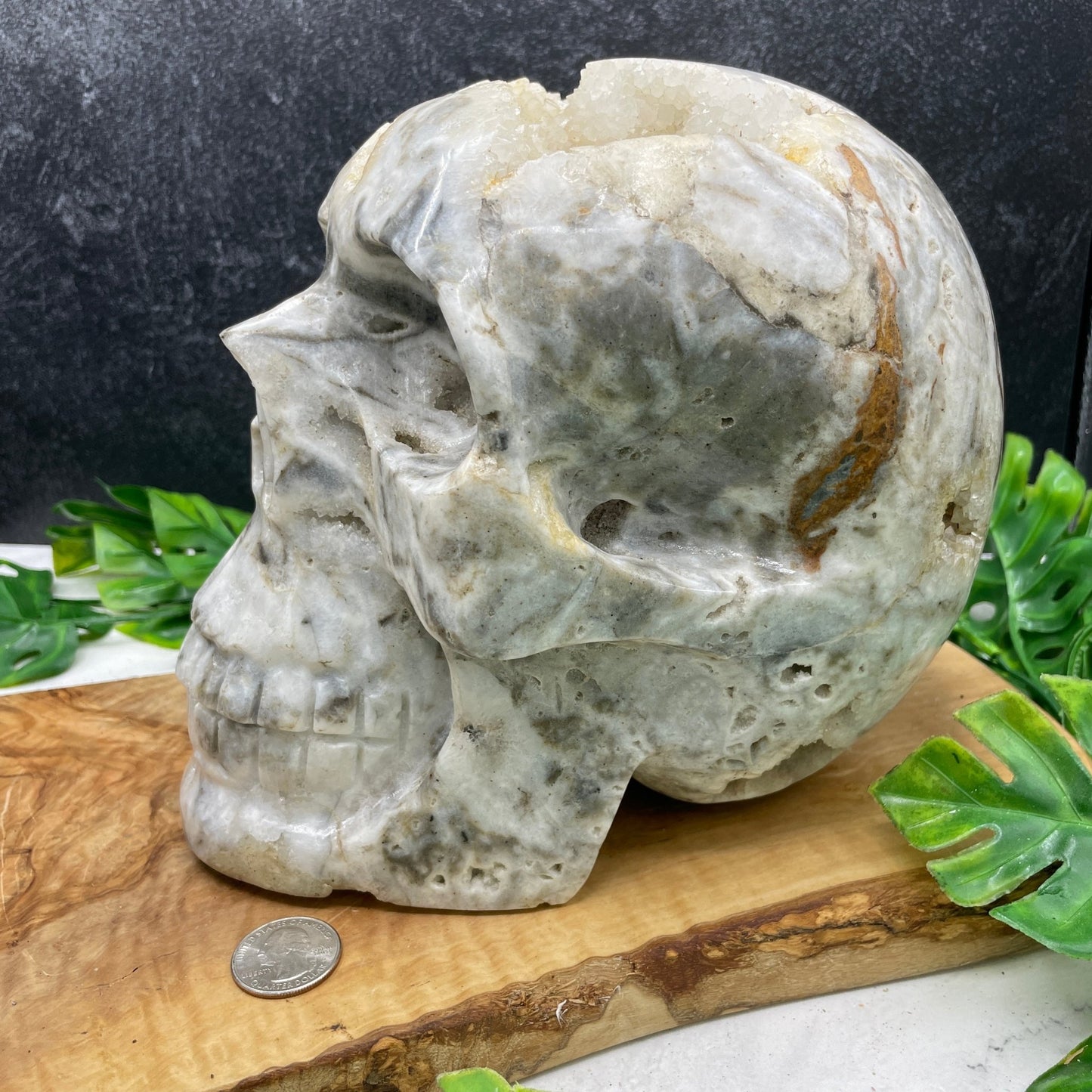 Massive 17 lb Druzy Agate Skull - Sage & Magic