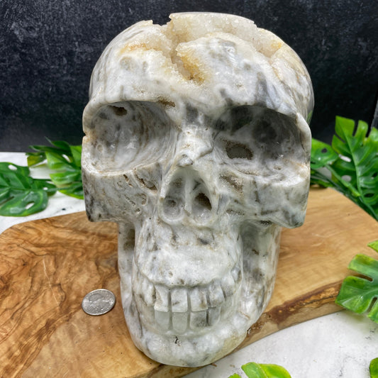 Massive 17 lb Druzy Agate Skull - Sage & Magic