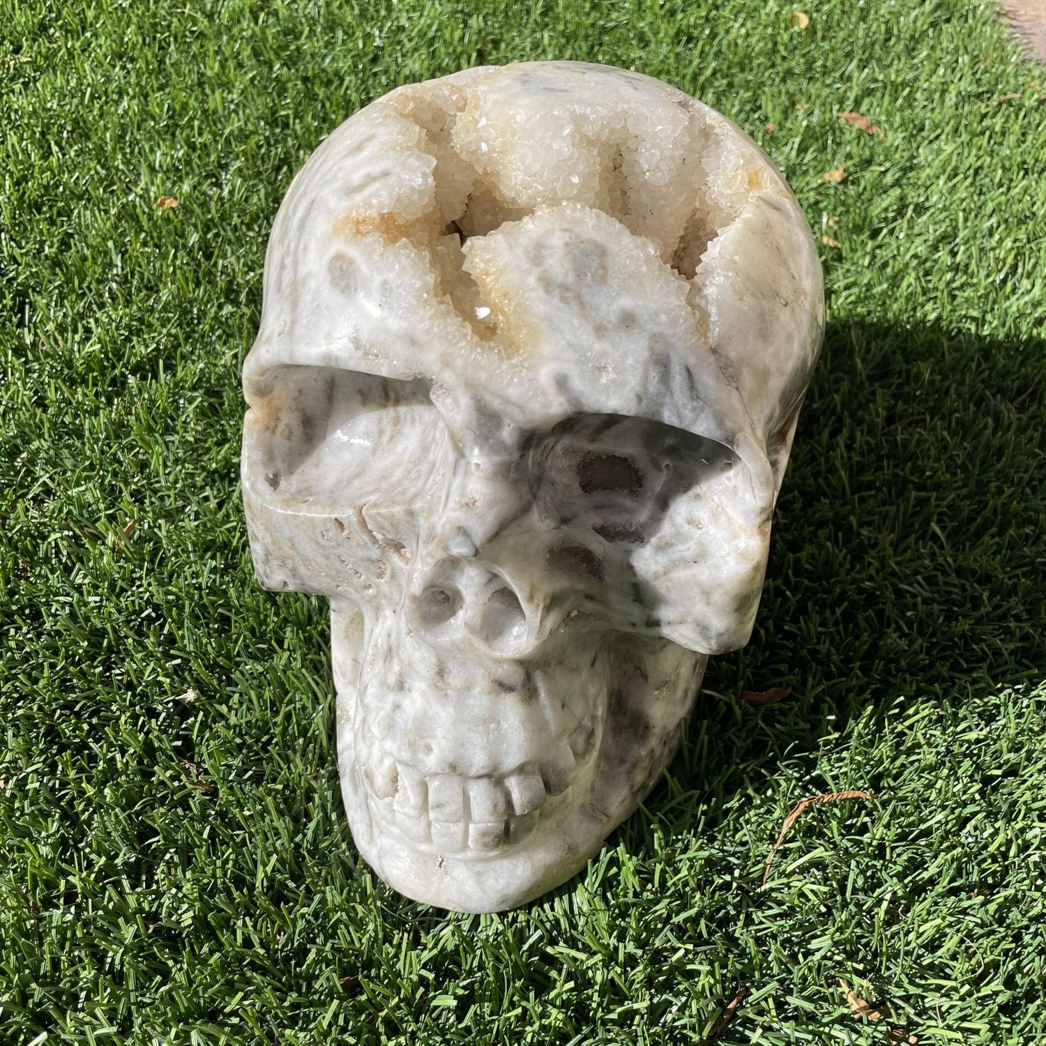 Massive 17 lb Druzy Agate Skull - Sage & Magic